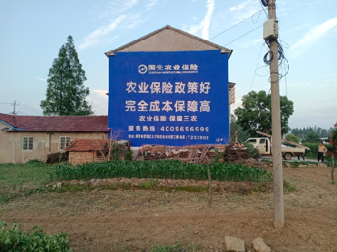 阆中墙体广告为何受追捧？